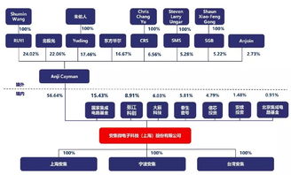 三家企业58天过会科创板的秘诀是