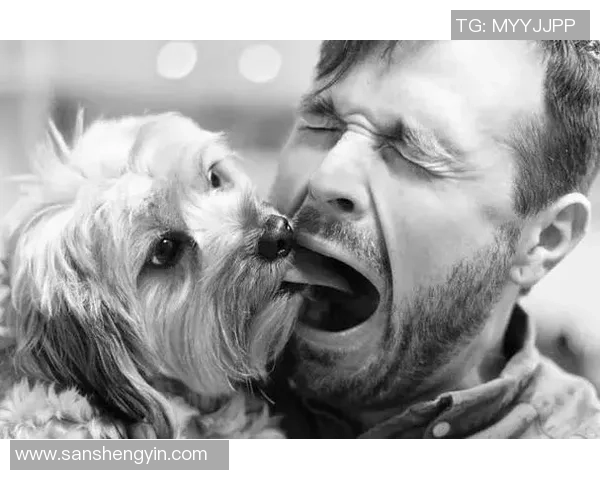 足球剪辑员的幕后故事与精彩瞬间的完美捕捉